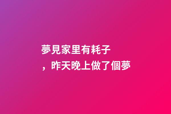 夢見家里有耗子，昨天晚上做了個夢